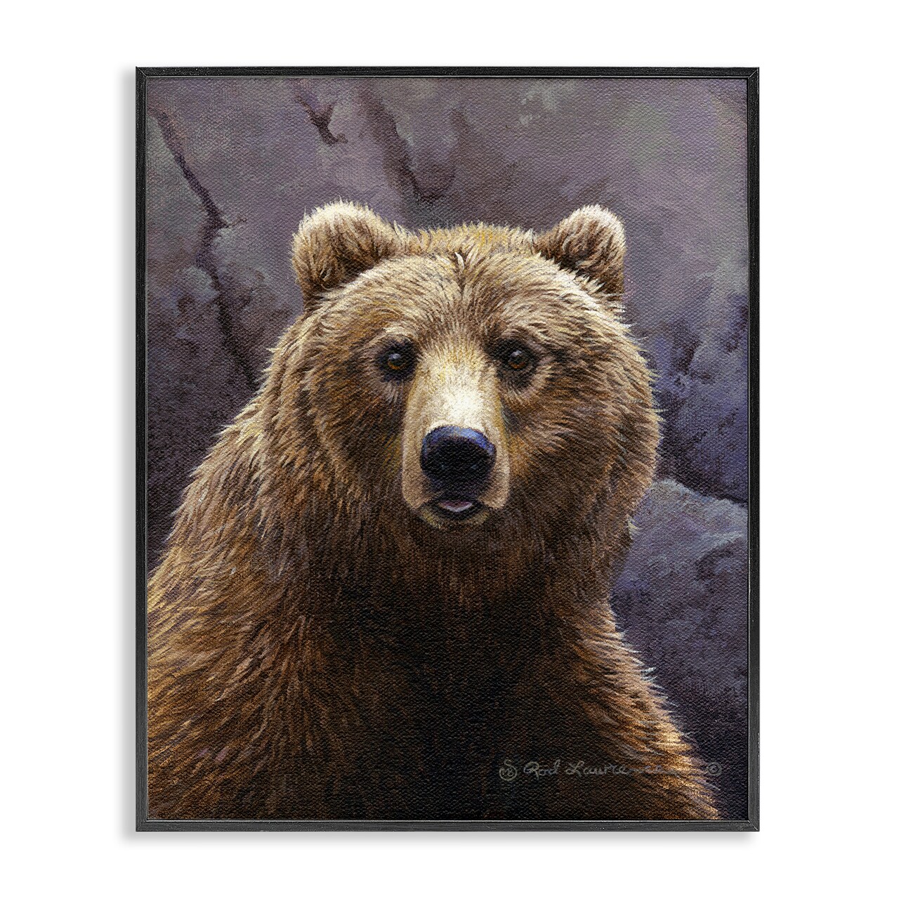 Stupell Industries Surprised Bear Portrait Framed Giclee Wall Art Design by Rod Lawrence